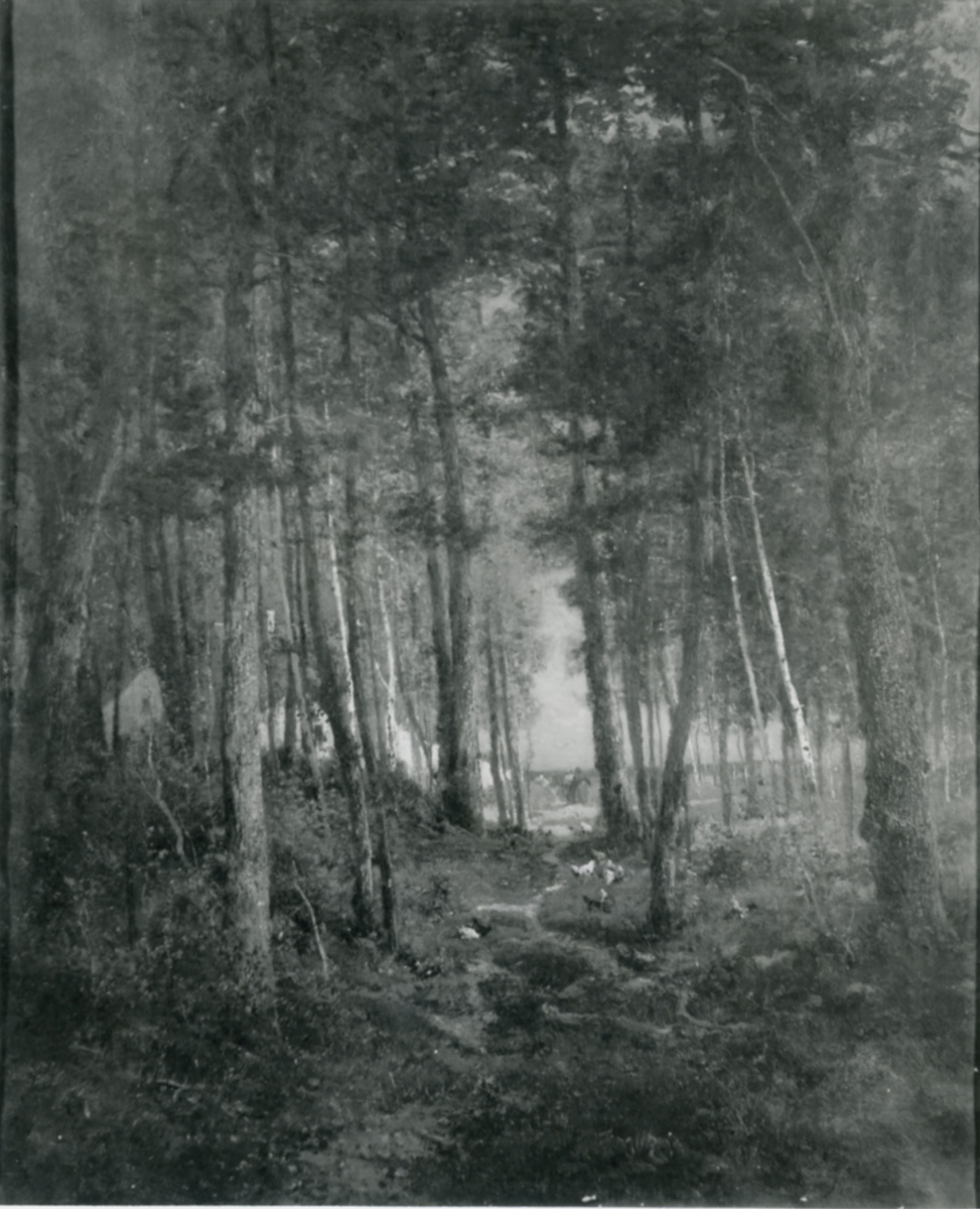 Lisière de la forêt de Sénart